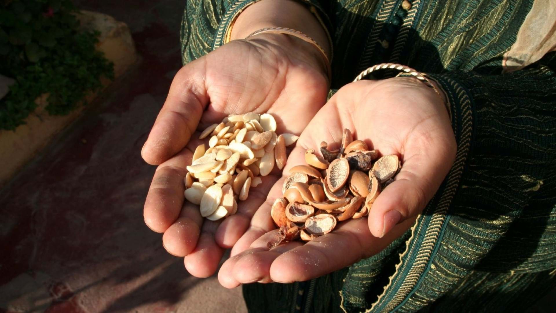 Argan kao tečno zlato Maroka