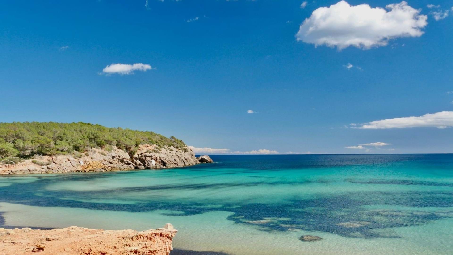 Ibica i peščana plaža sa kristalno čistom vodom