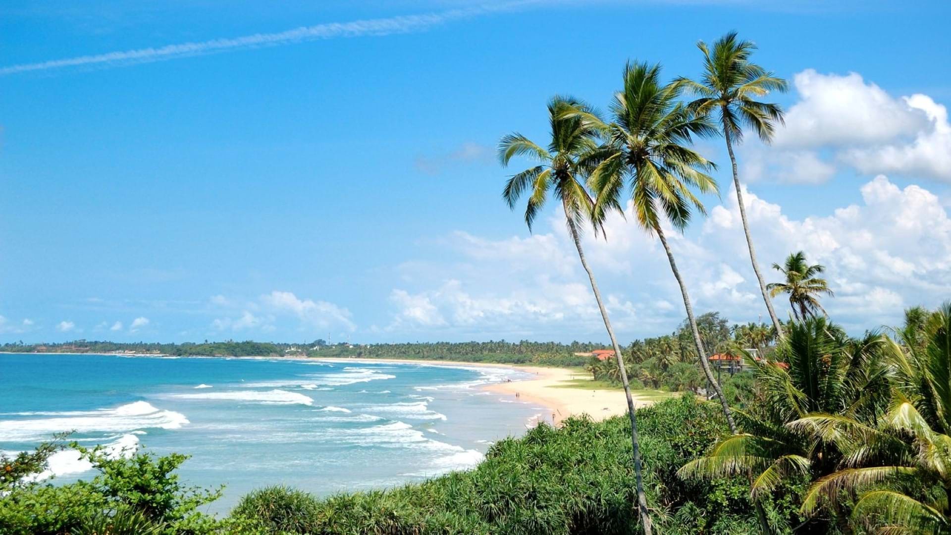 Bentota peščana plaža sa palmama