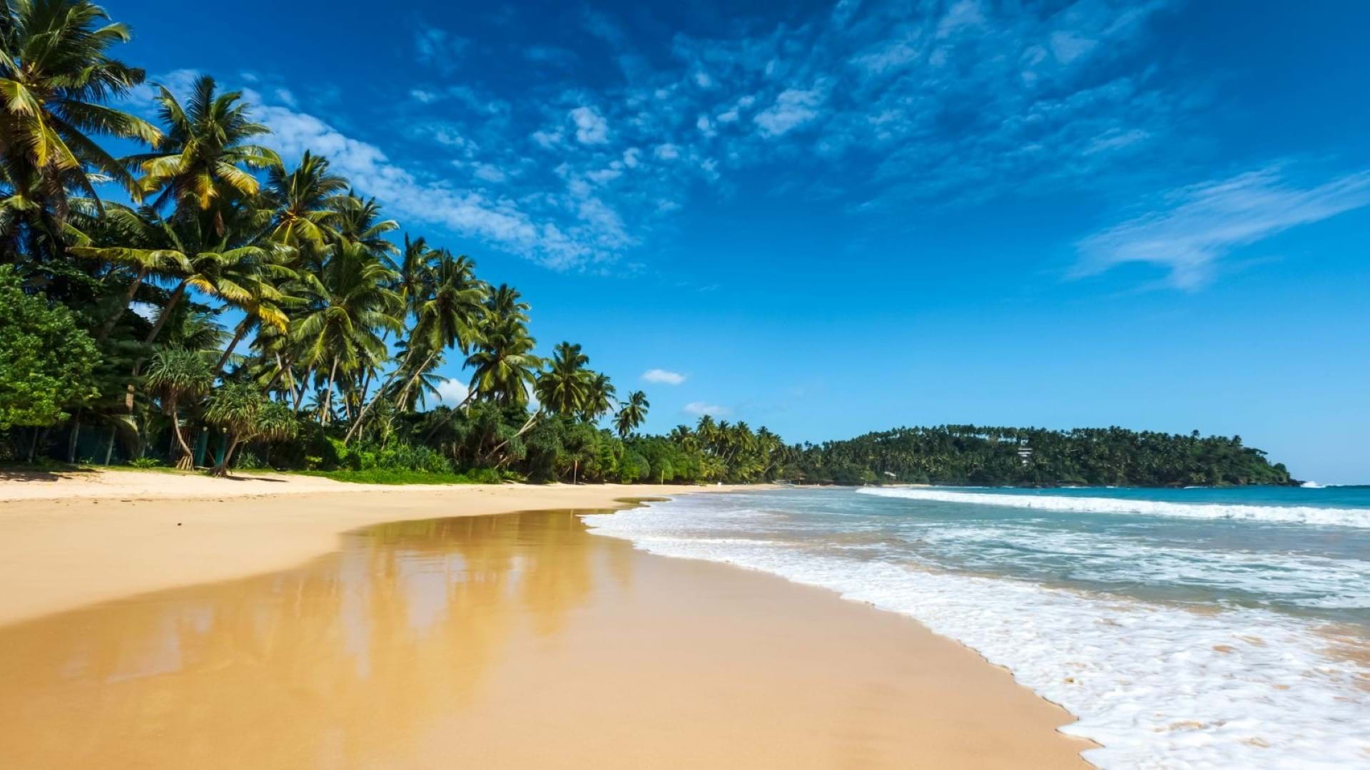 Prelepa plaža sa palmama na Šri Lanci