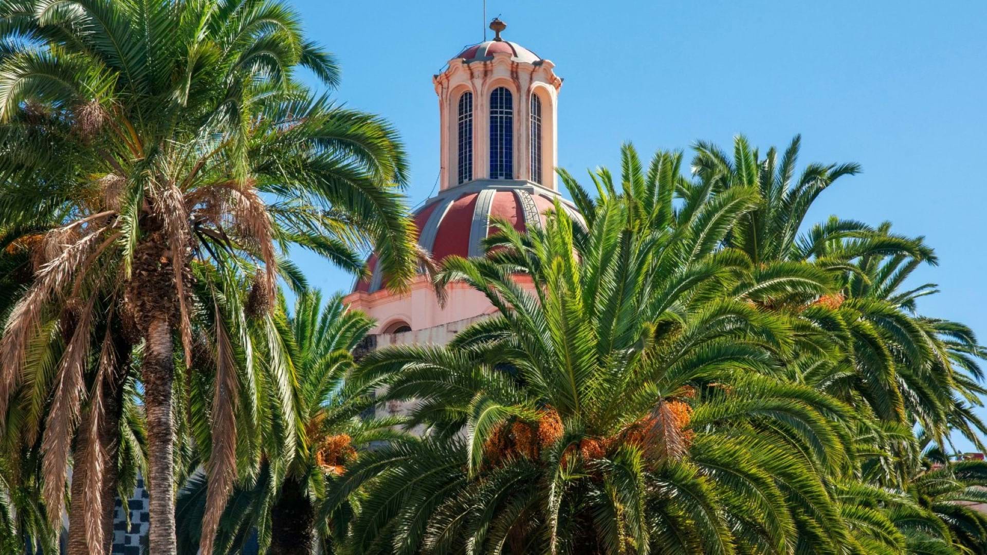 Tenerife putovanje kao ostrvo večnog proleća