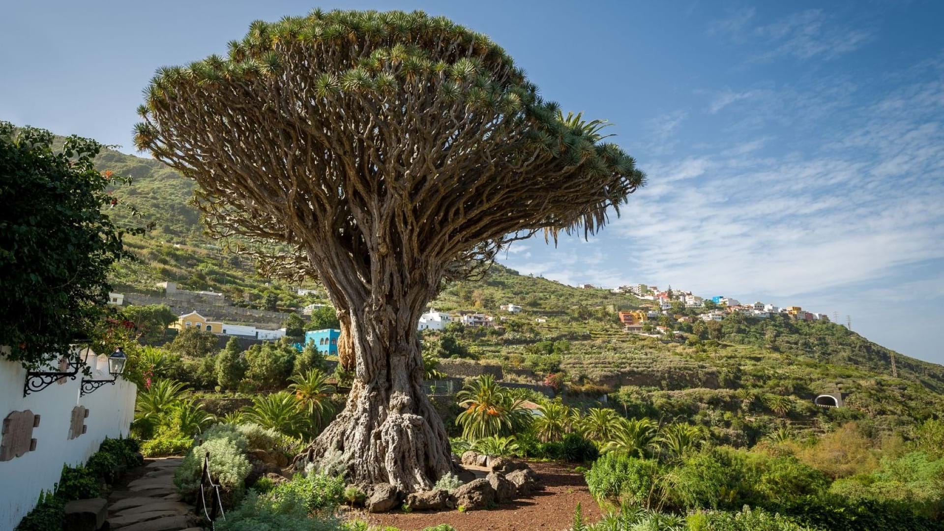 Nacionalni park Tenerife putovanje