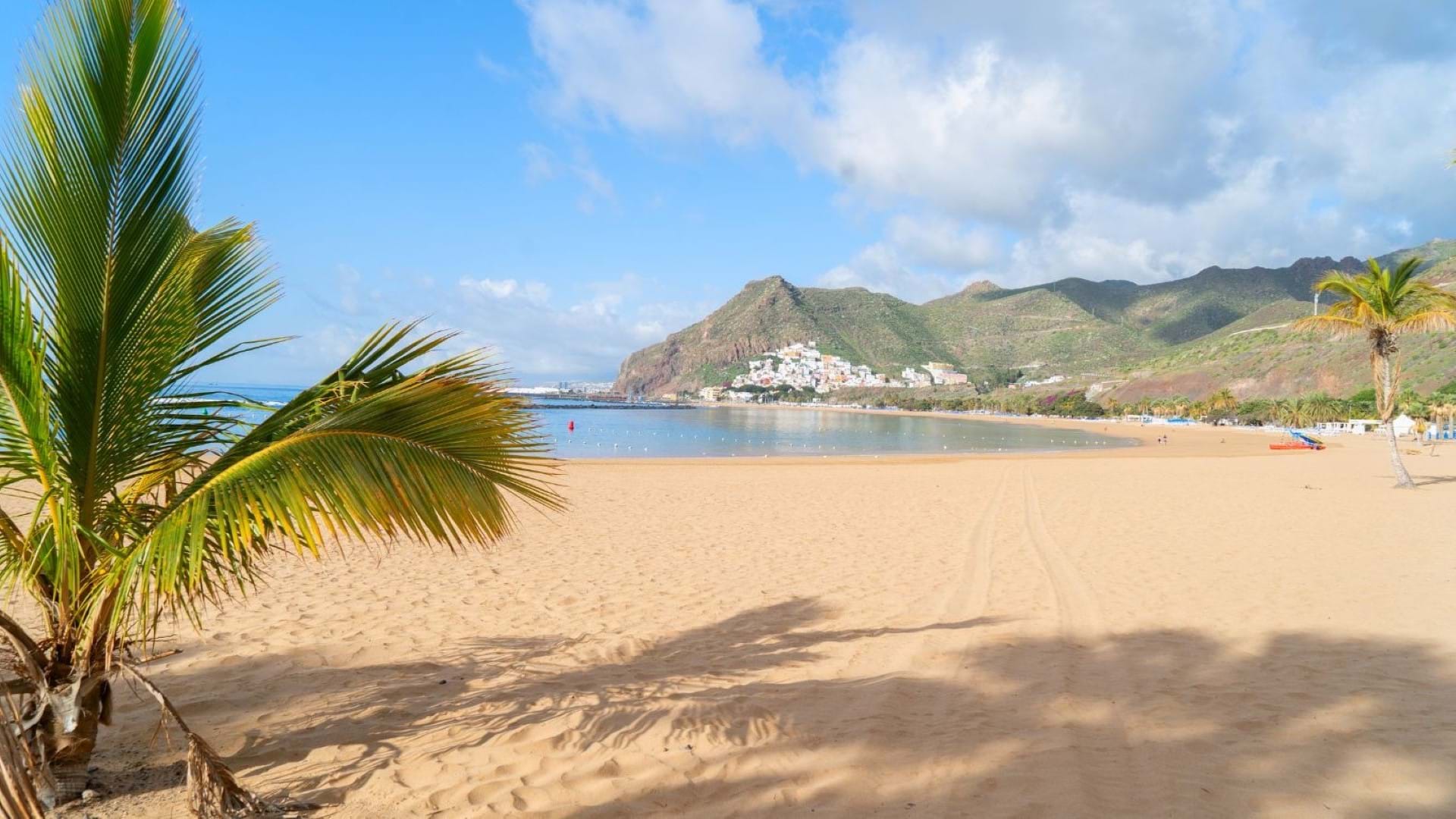 Playa de las Americas u sklopu aranžmana Tenerife