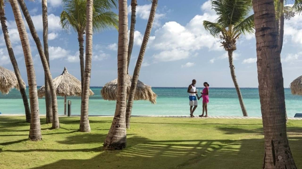 Divi Dutch Village Beach Resort 4* Aruba