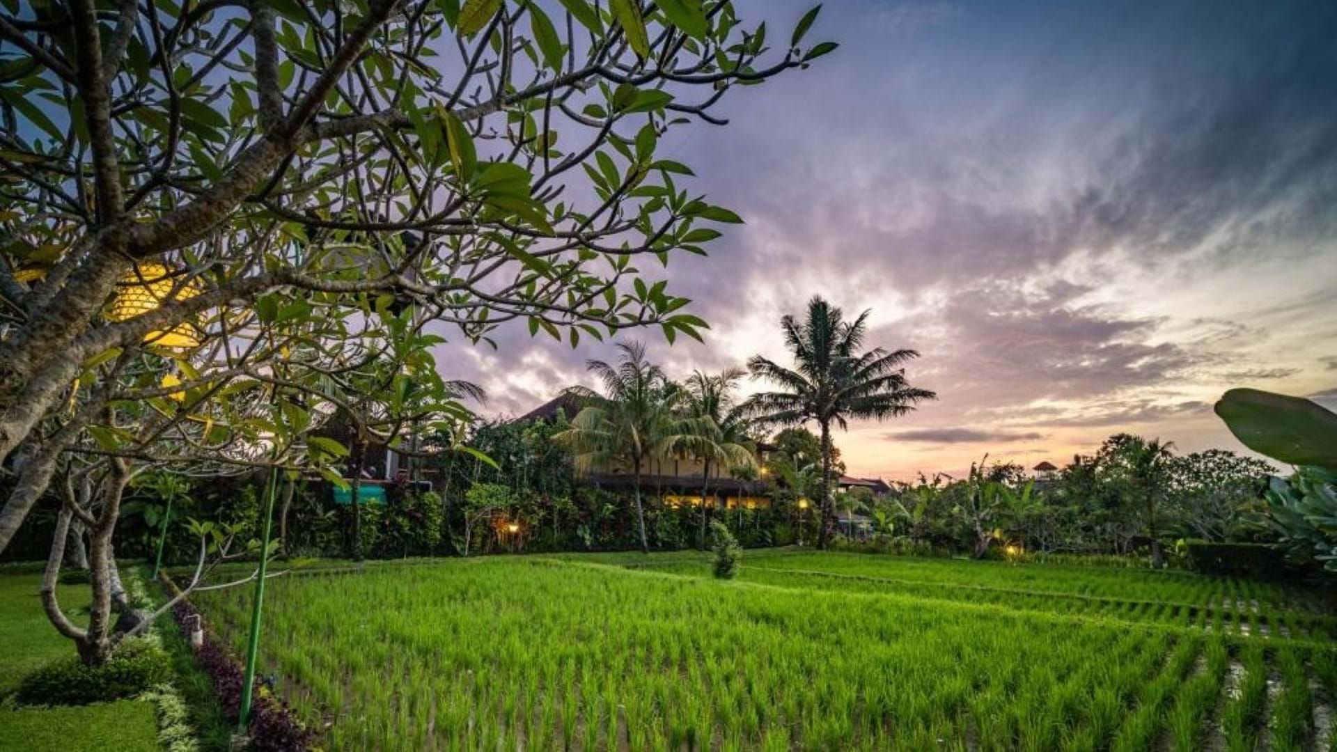 Bliss Ubud Luxury Villa 4* Bali