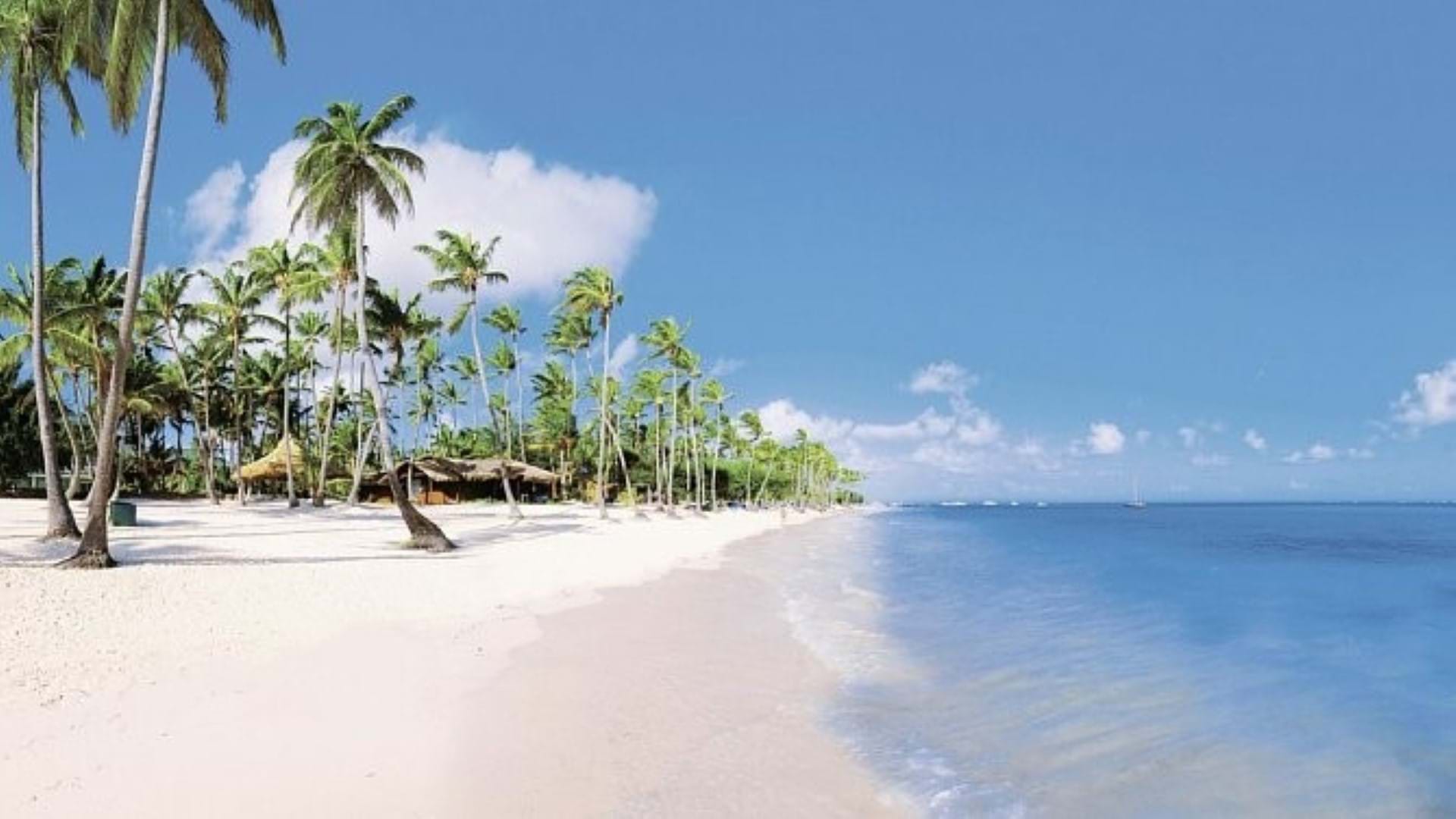Barcelo Bavaro Beach