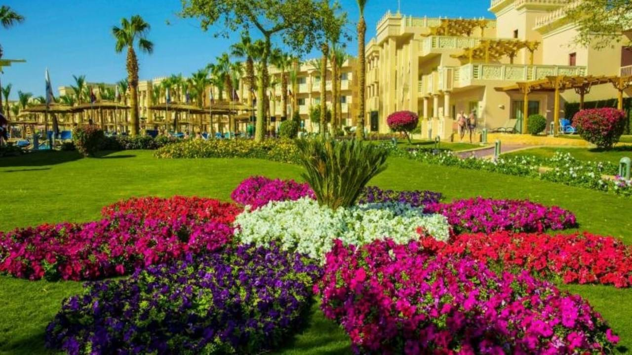 Albatros Palace 5* Hurgada