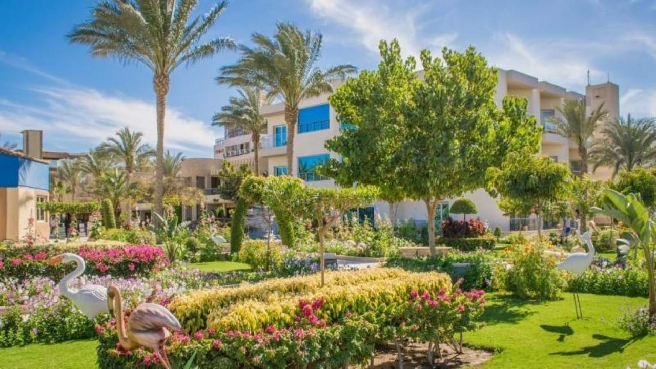 Sea Gull Resort 4* Hurgada