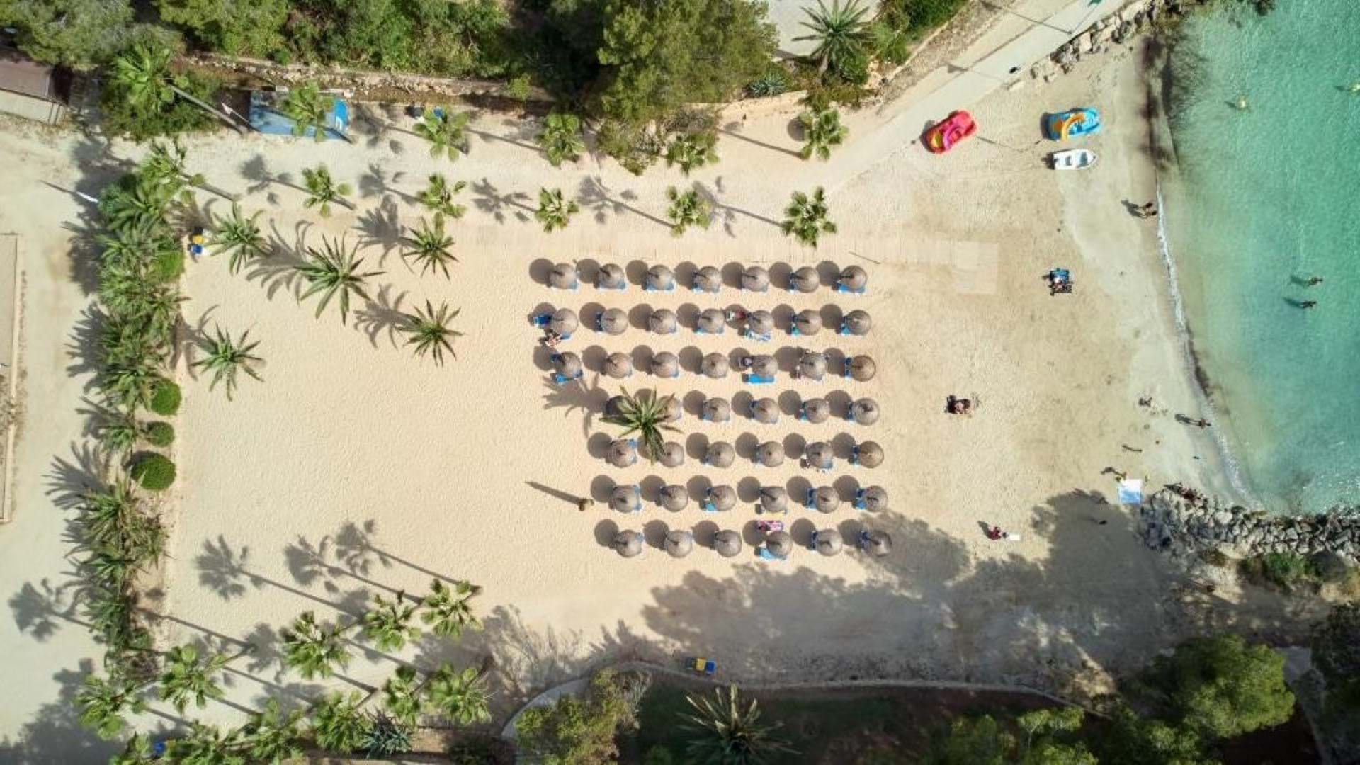 Occidental Cala Vinas 
