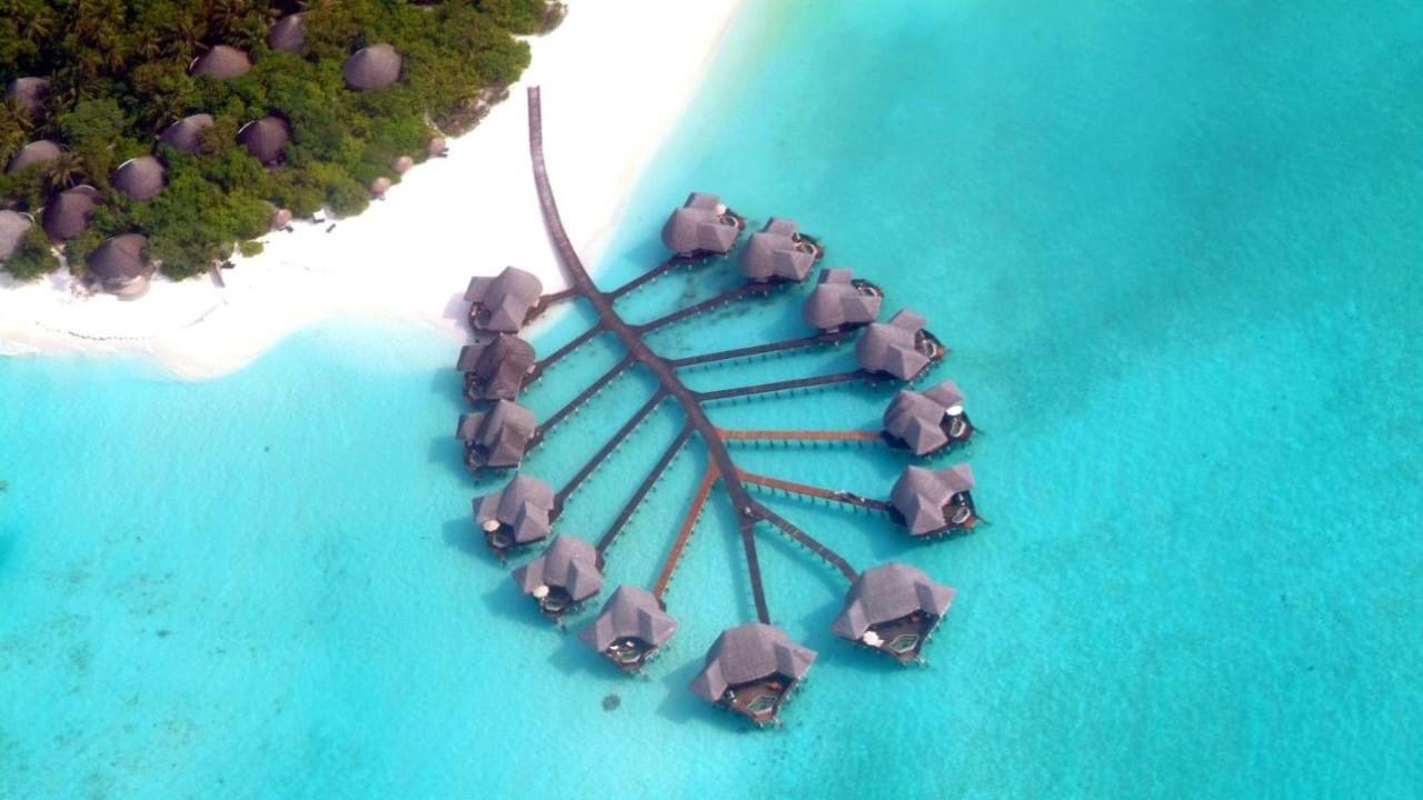 Coco Palm Dhuni Kolhu 4* Maldivi