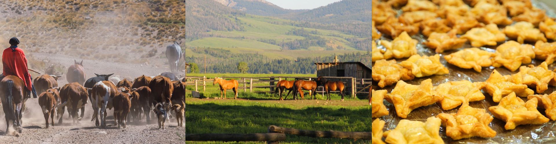 Fakultativni izlet Argentinska estancija – Estancia El Ombú de Areco