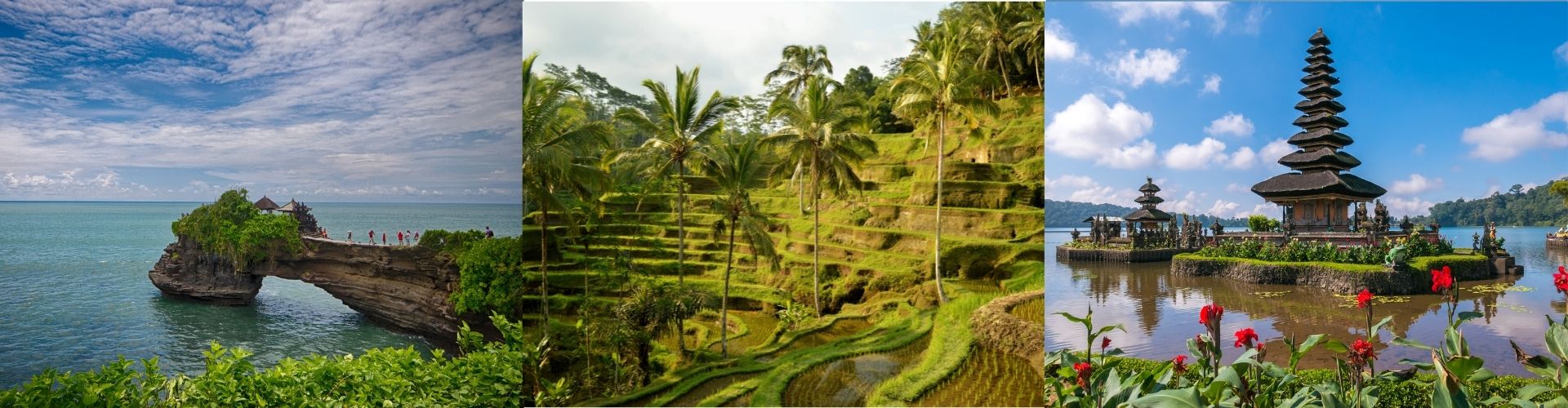 BALI KUTA / LEGIAN – fakultativni izlet Tanah Lot, pirinčana polja, Pura Bratan