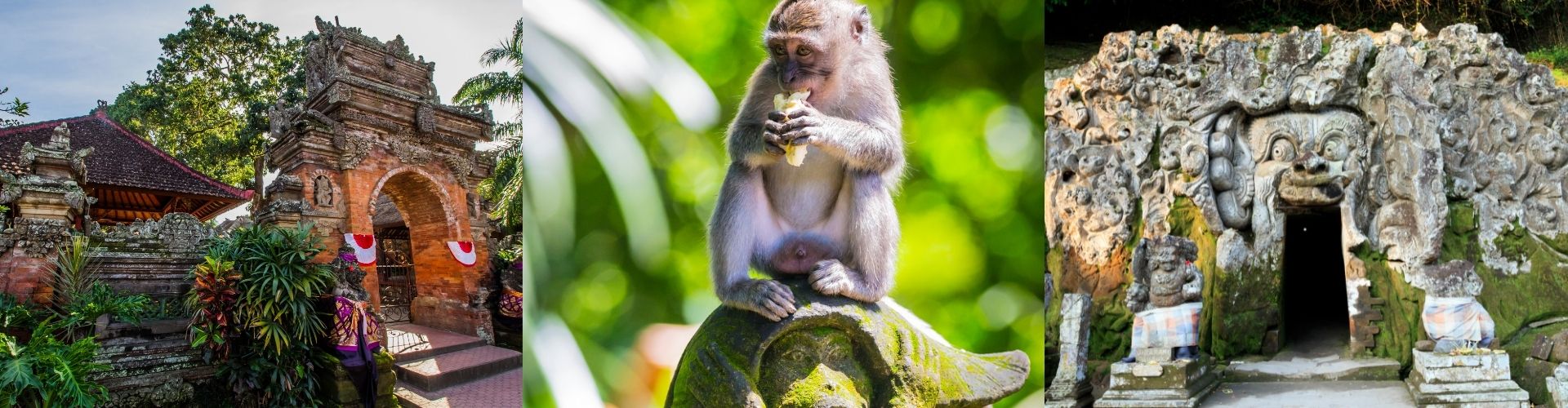 BALI – fakultativni izlet Ubud, Monkey Forest, Goa Gajah 