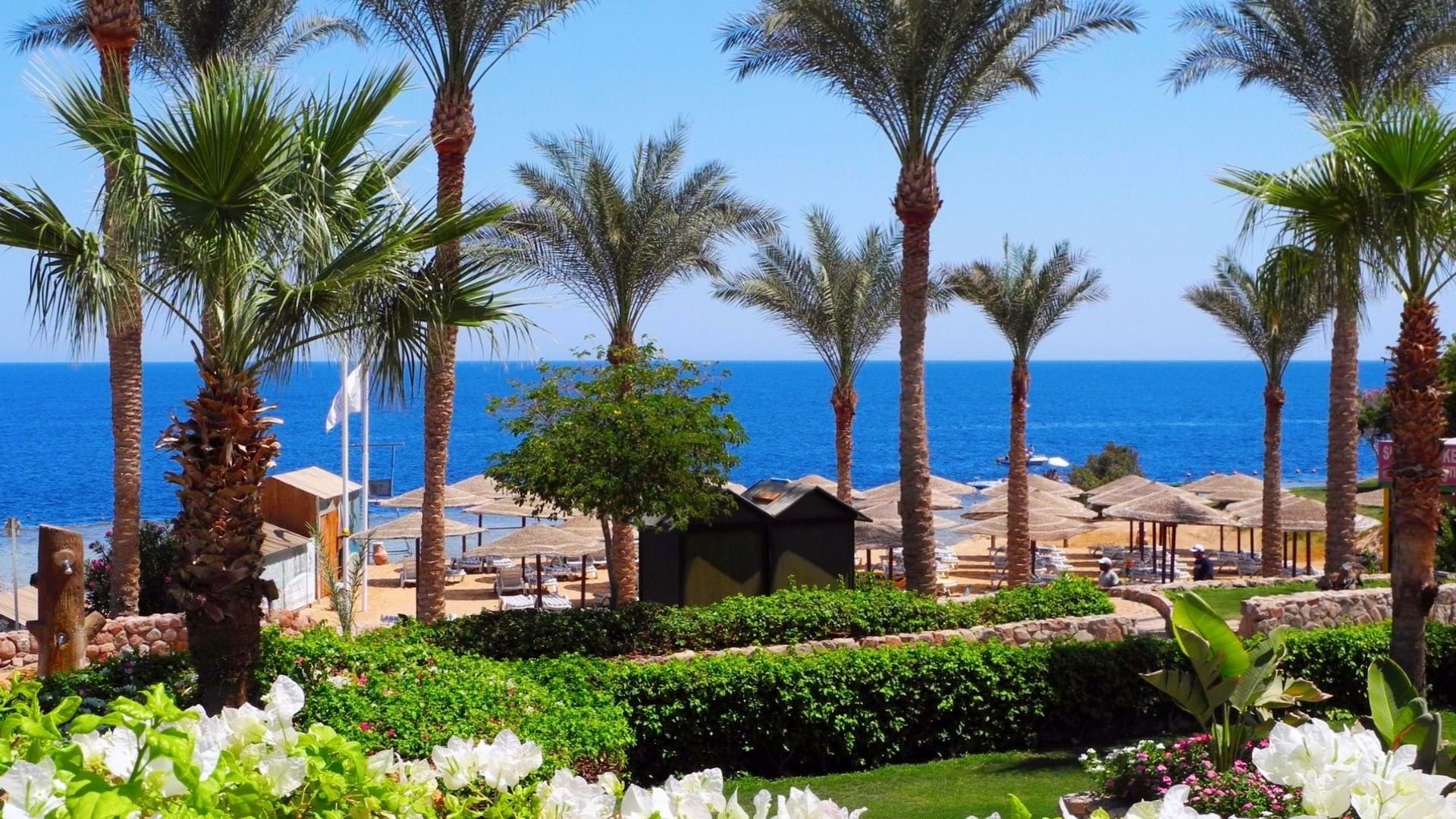 Hotelska plaža sa uređenim delom za ležaljke jednog od hotela u Šarm El Šeik u