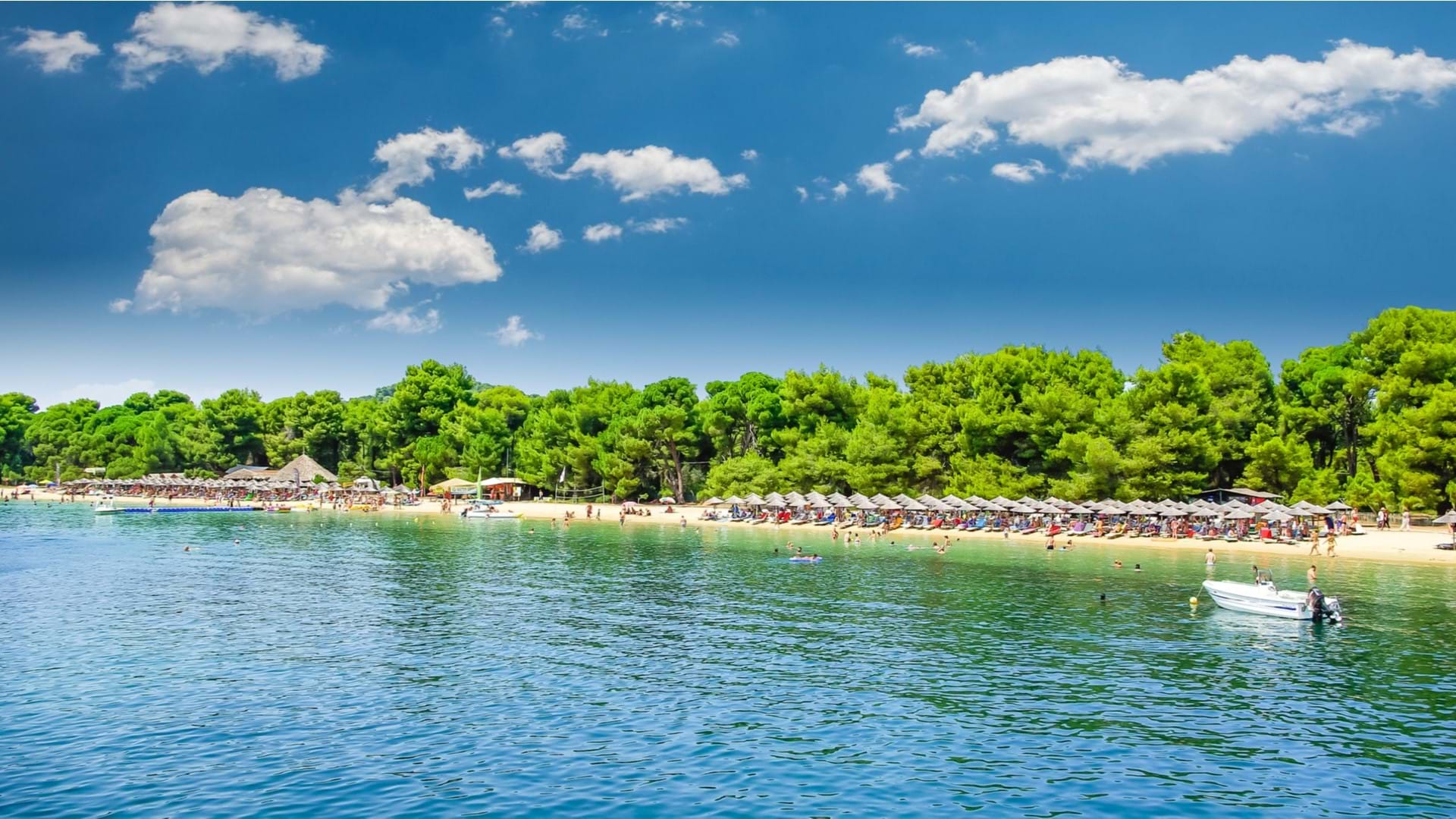 Jedna od najlepših plaža na ostrvu Skijatos u Grčkoj. Odličan izbor za Letovanje na Skijatosu.