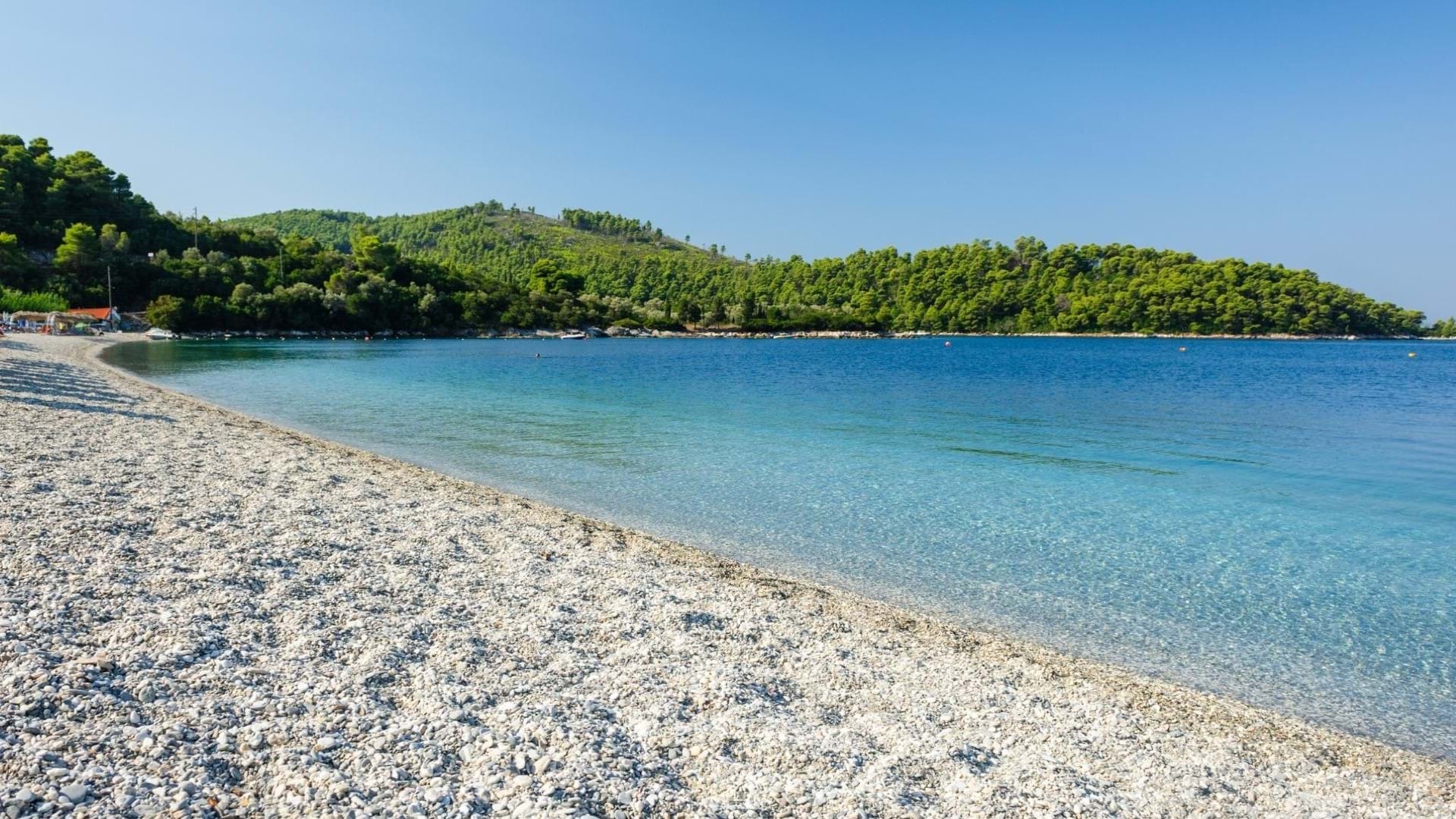 Plaža na ostrvu Skopelos, okružena gustom borovom šumom.