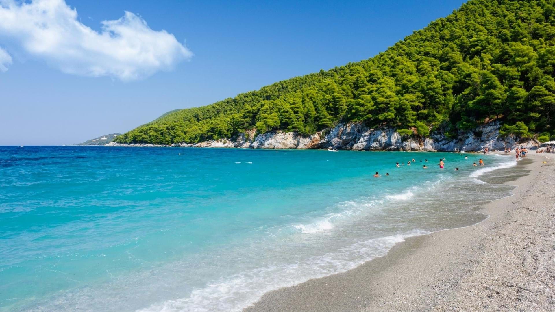 Plaže na Skopelosu, tirkizno more, prelepa obala i sitan pesak na plažama. Zelenilo borova na brdima izndad plaže.