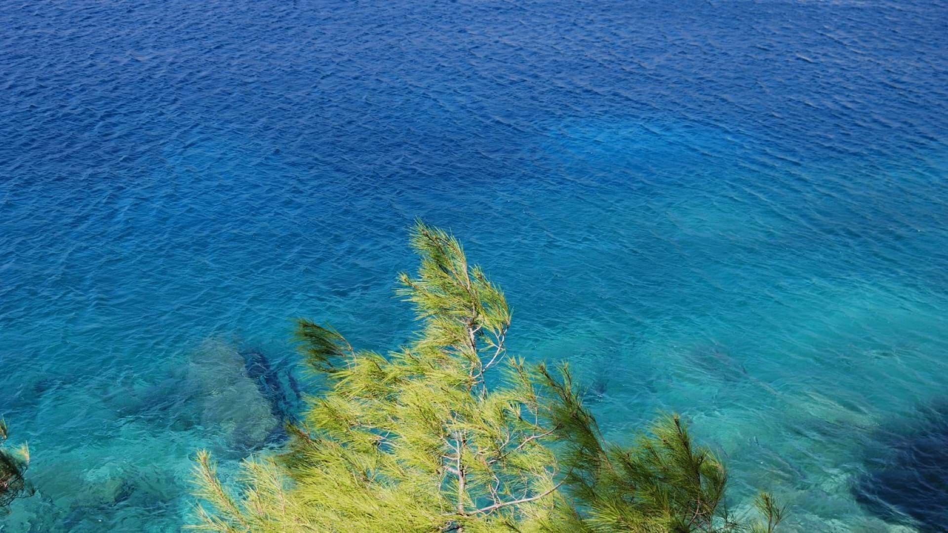 Tasos Letovanje - Kristalno čista voda na Tasosu sa borovim šumama
