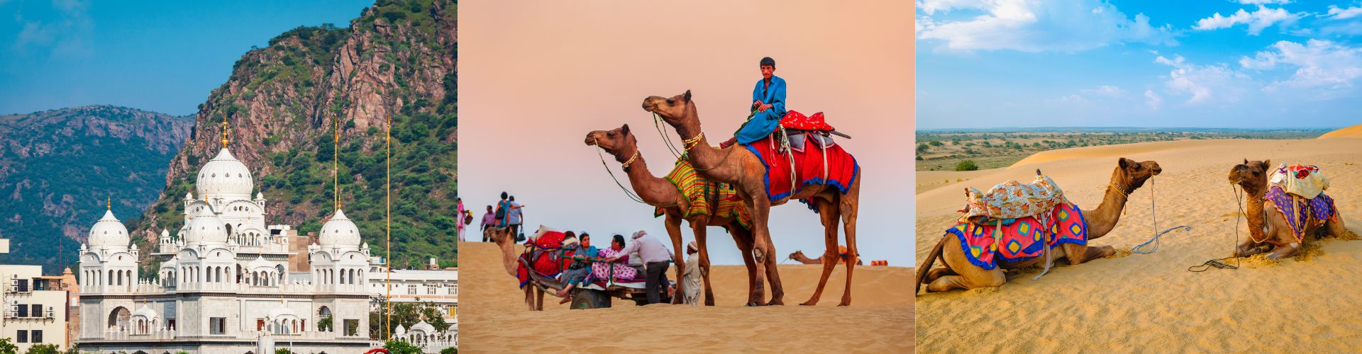 Pushkar India, pustinja, kamile