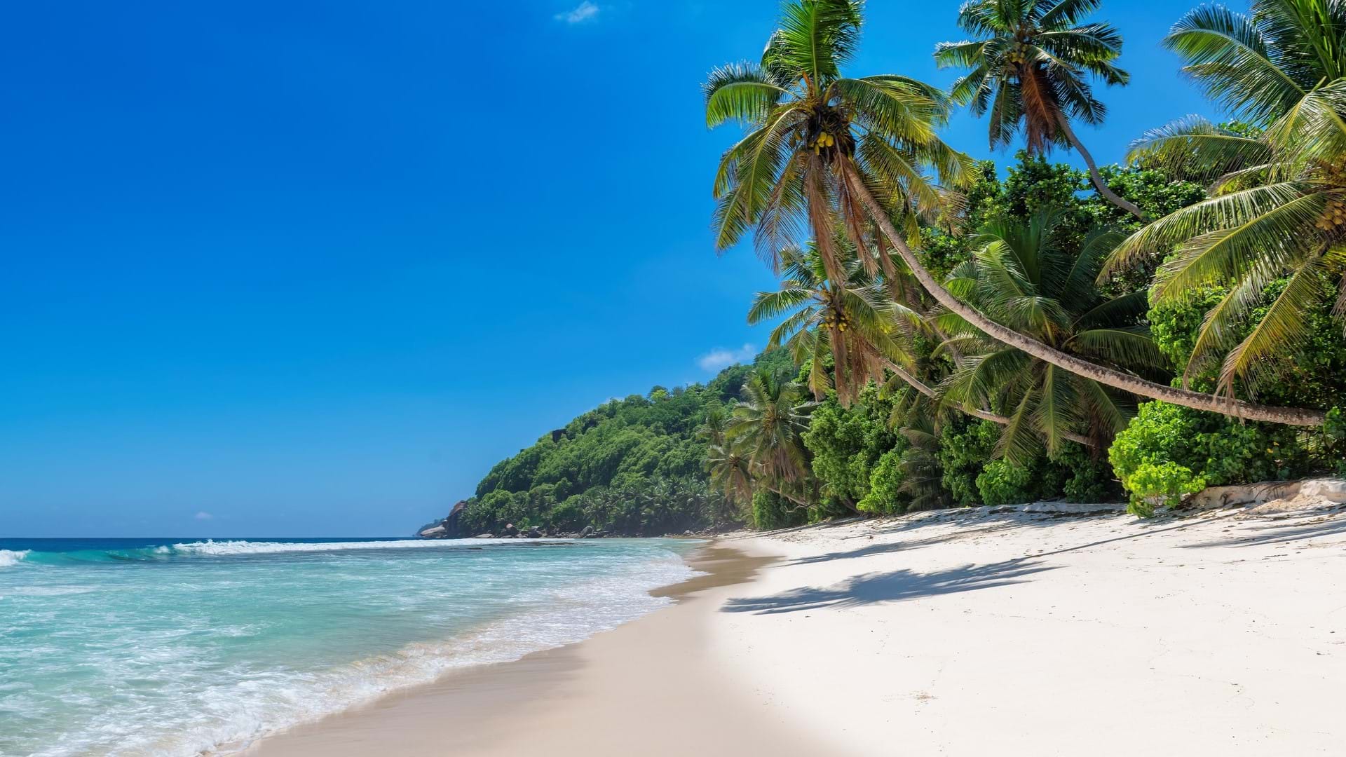 Prelepa plaža na putovanju u Jamajku. Beli pesak i divlja obala.