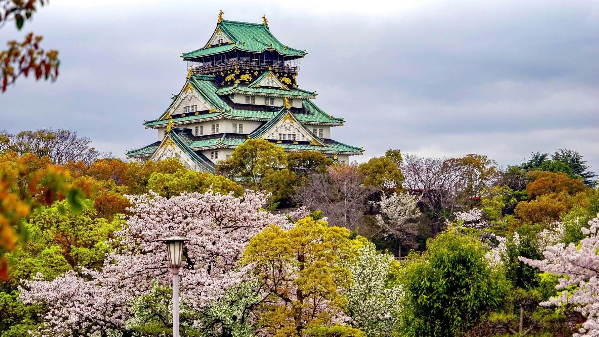 Osaka se često naziva "kuhinjskom prestonicom Japana", jer je poznata po svom raznolikom izboru hrane, uključujući sushi, okonomiyaki (japanski specijalitet sa povrćem i mesom), ramen i druga jela. Grad takođe ima mnogo tržnica hrane i restorana, a jedan od najpoznatijih je Dotonbori, poznat po svojim svetlećim reklamama i velikim izborom hrane. Najveća atrakcija u Osaki je zamak Osakajo, koji se nalazi u centru grada. Izgrađen u 16. veku, zamak ima impresivnu arhitekturu, a unutar zamka se nalazi i muzej sa interesantnim izložbama o istoriji Osake.