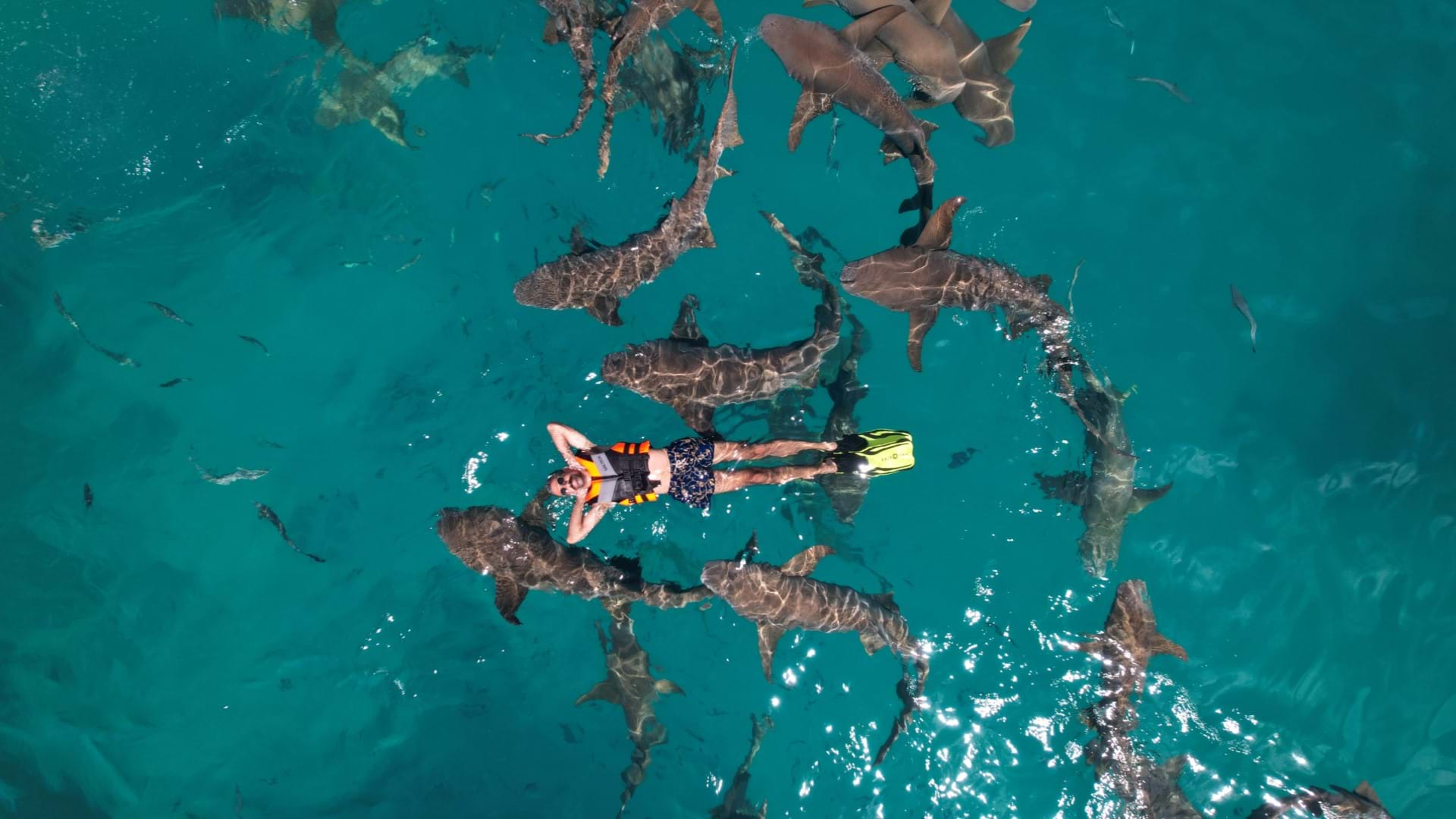 Vodič agencije Your Way iz Beograda, pliva sa ajkulama na Maldivima.