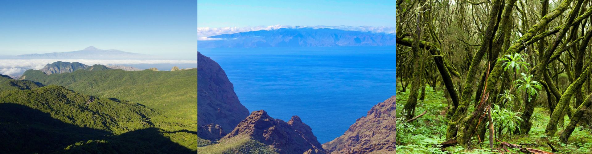 Fakultativni obilazak La Gomere