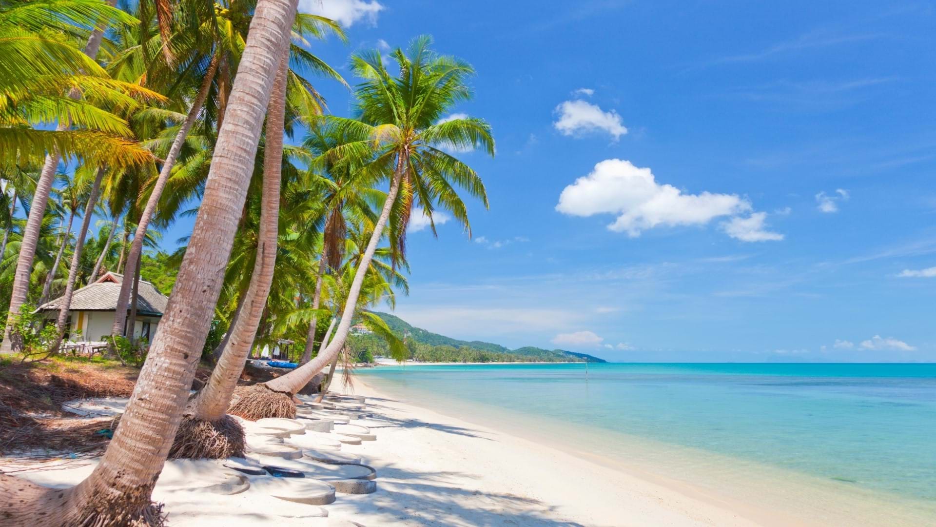 Prelepa Chaweng plaža na ostrvu Koh Samui.