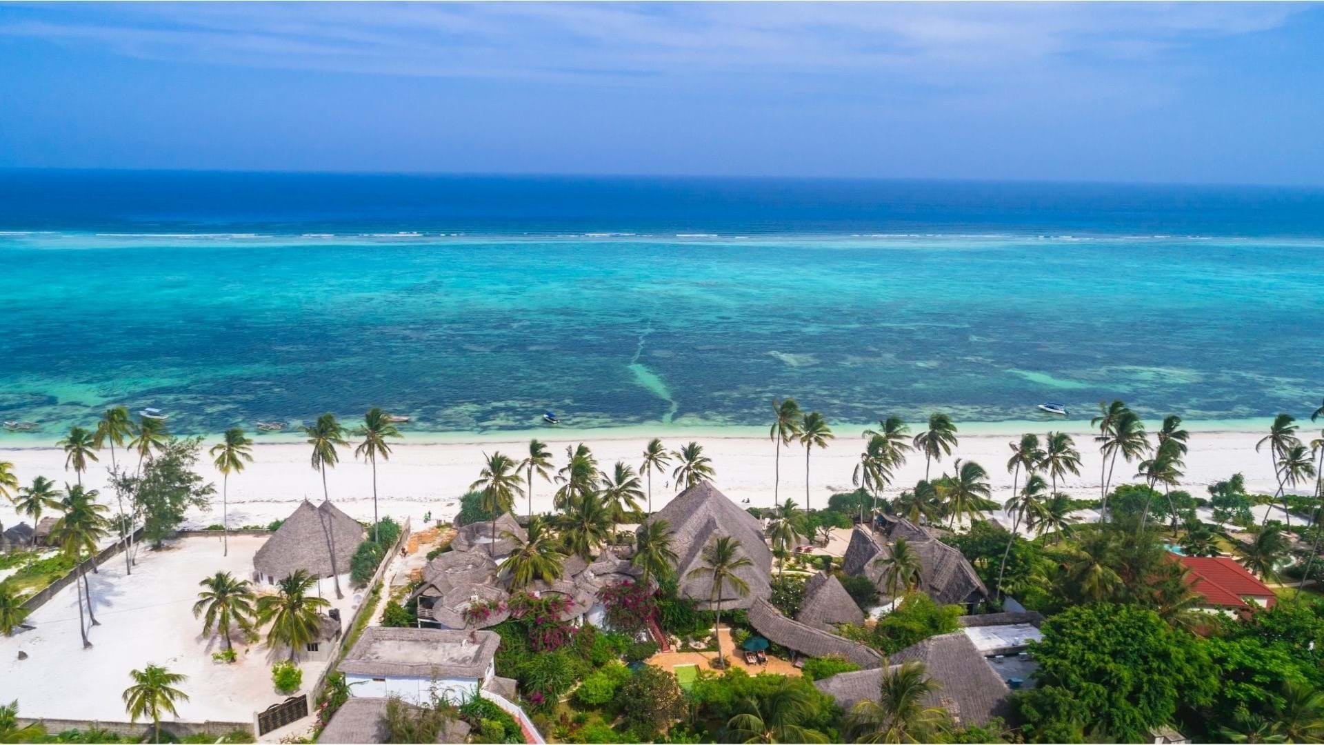 Plaža na zanzibaru sa koralnim grebenom za ronjenje.