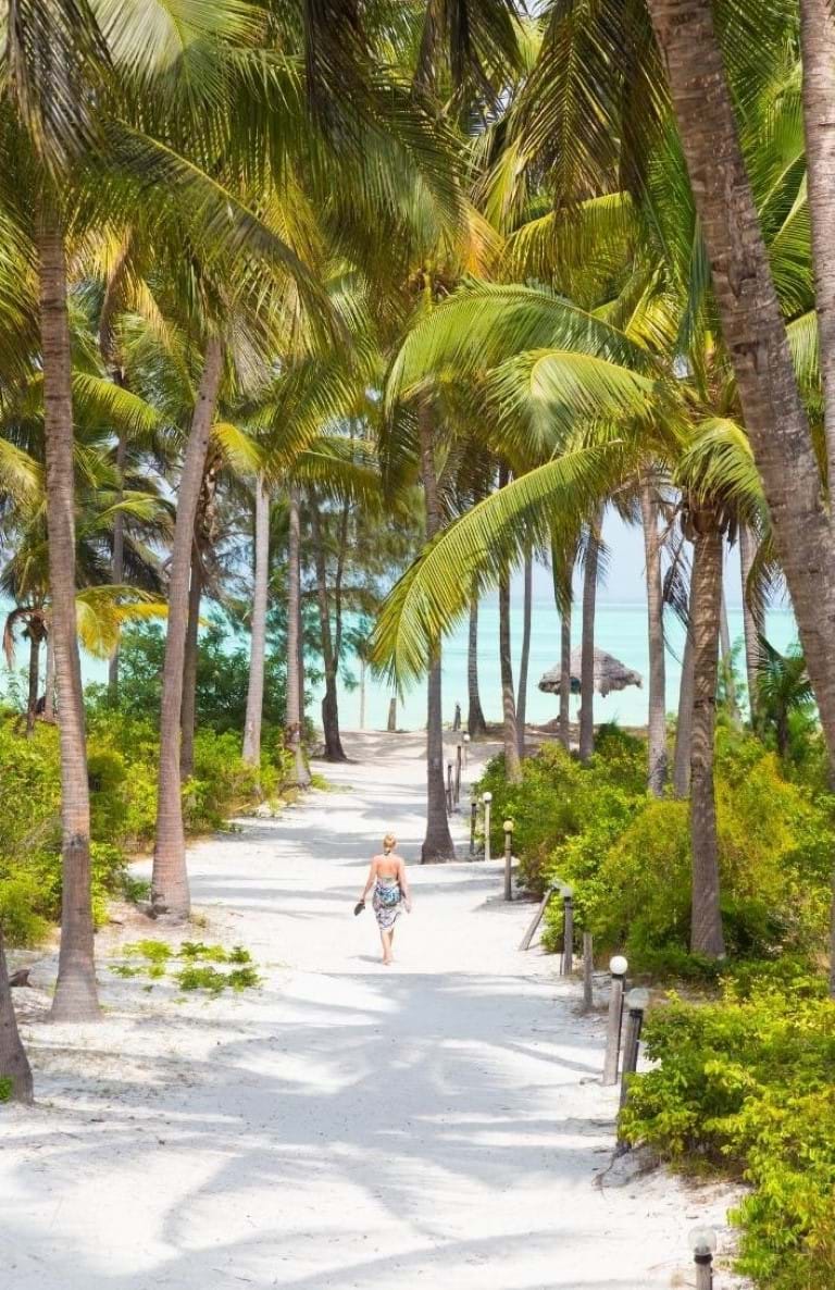 Zanzibar Nova Godina 2024